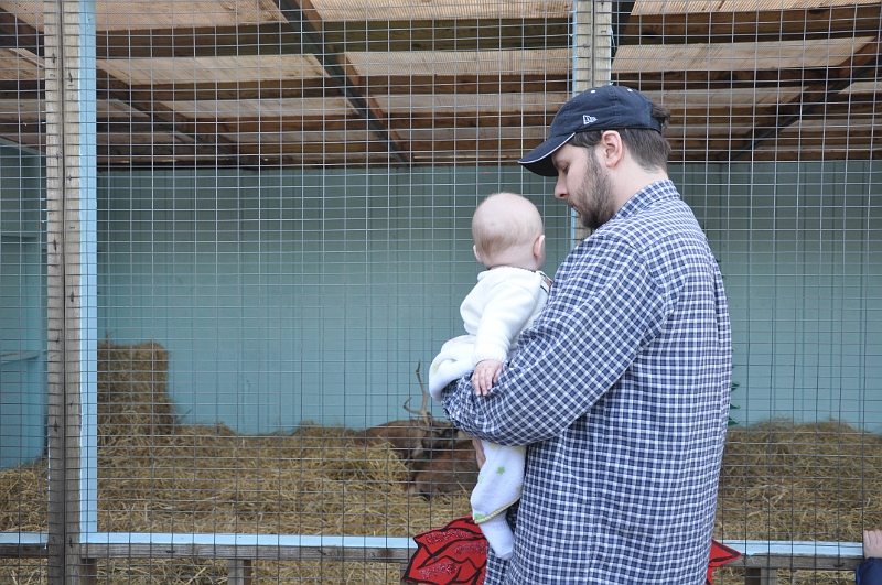 William's Twenty-Fourth Week 57.jpg